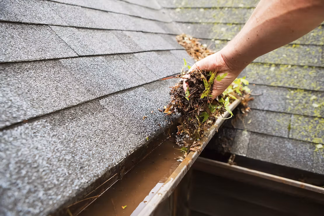 Elite Exteriors: Your Trusted Gutter Cleaning Experts