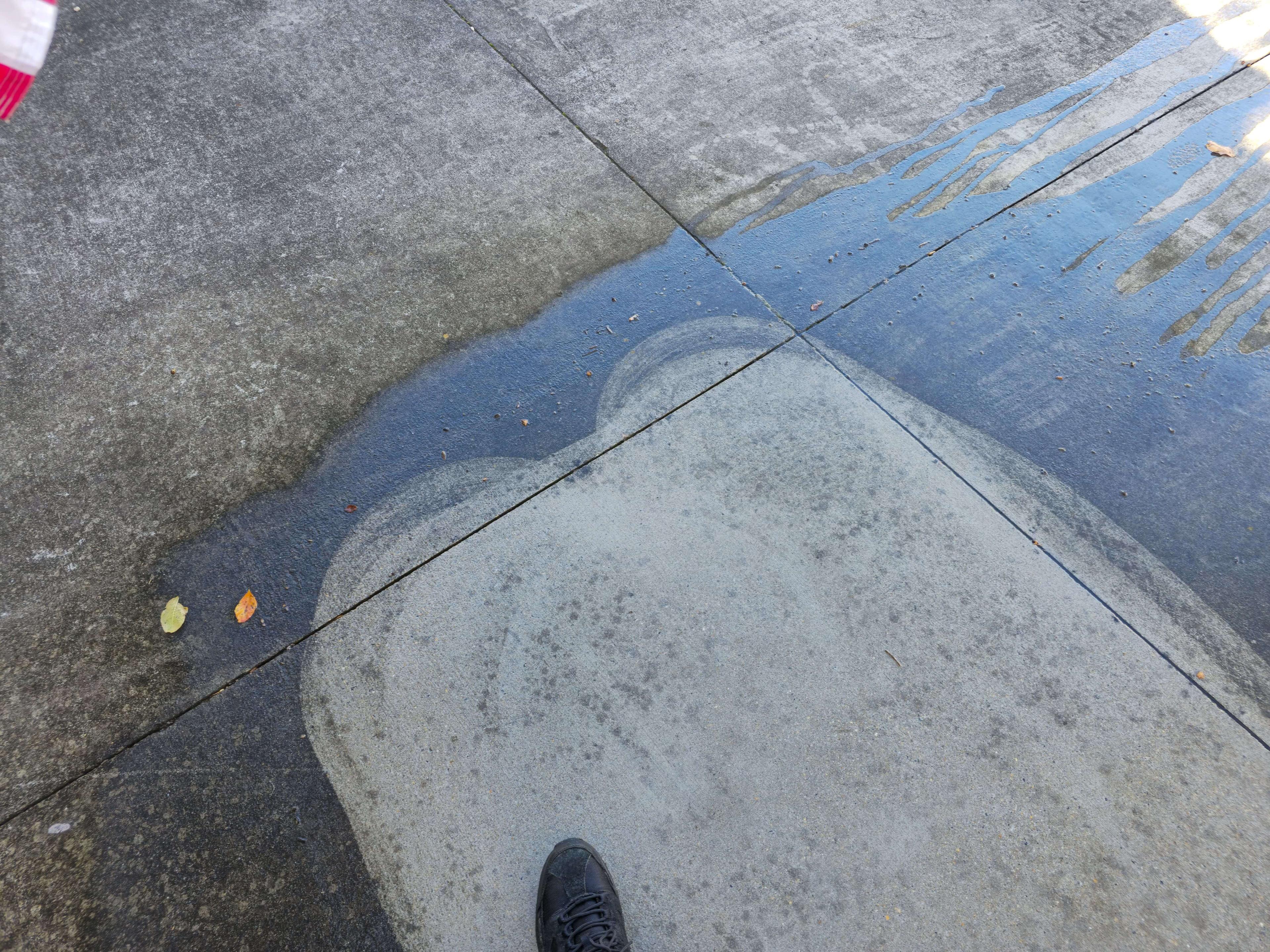Driveway Cleaning